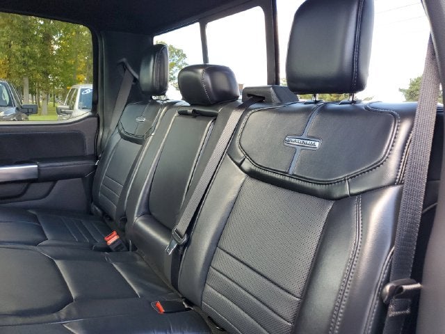 2024 Ford F-150 Platinum